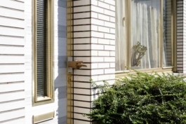 Antonis Pittas website