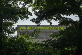 Antonis Pittas website