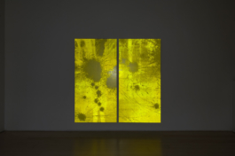 Antonis Pittas website