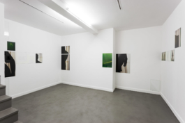 Antonis Pittas website