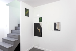 Antonis Pittas website