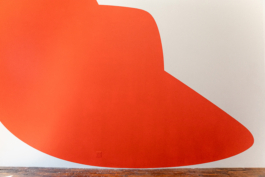  Antonis Pittas website